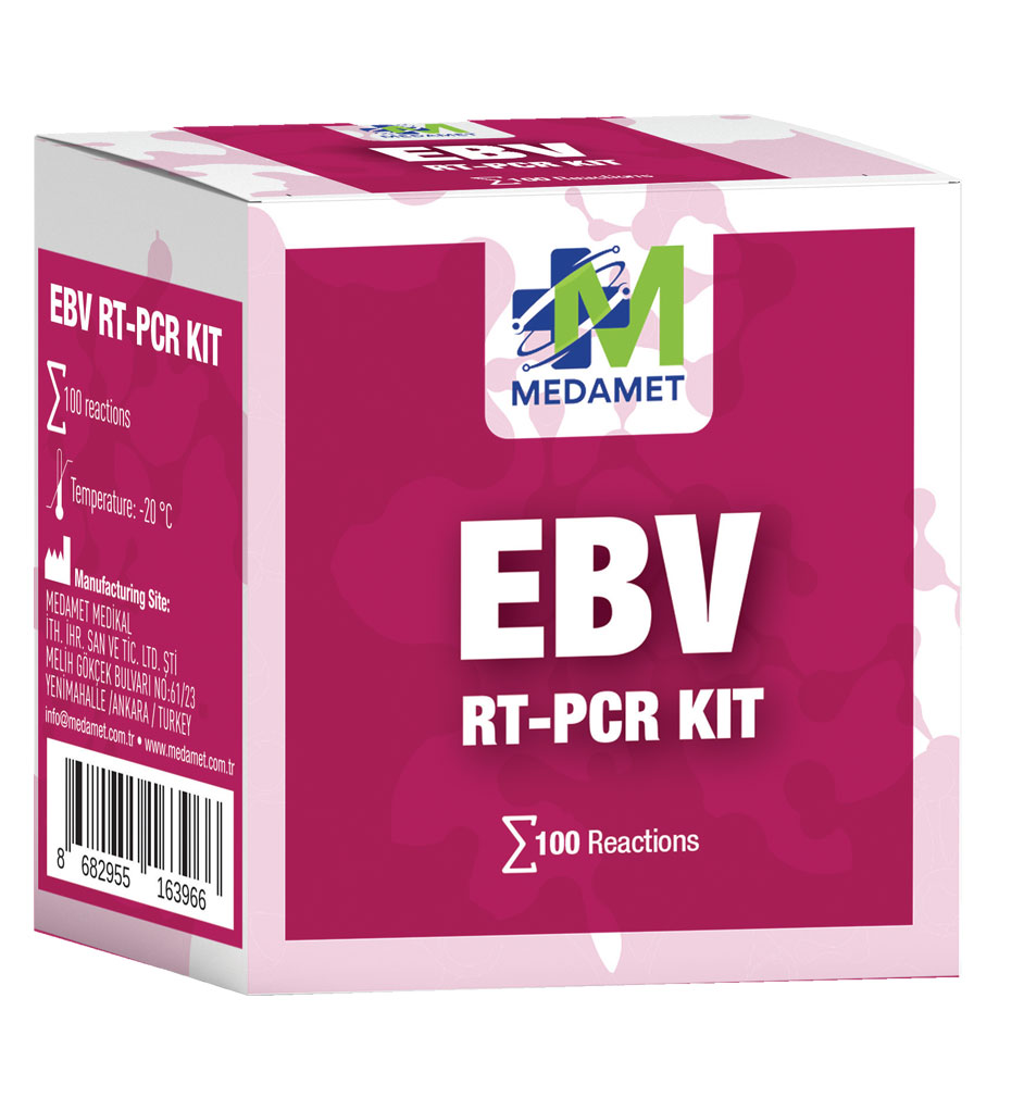EBV RT-PCR KIT 